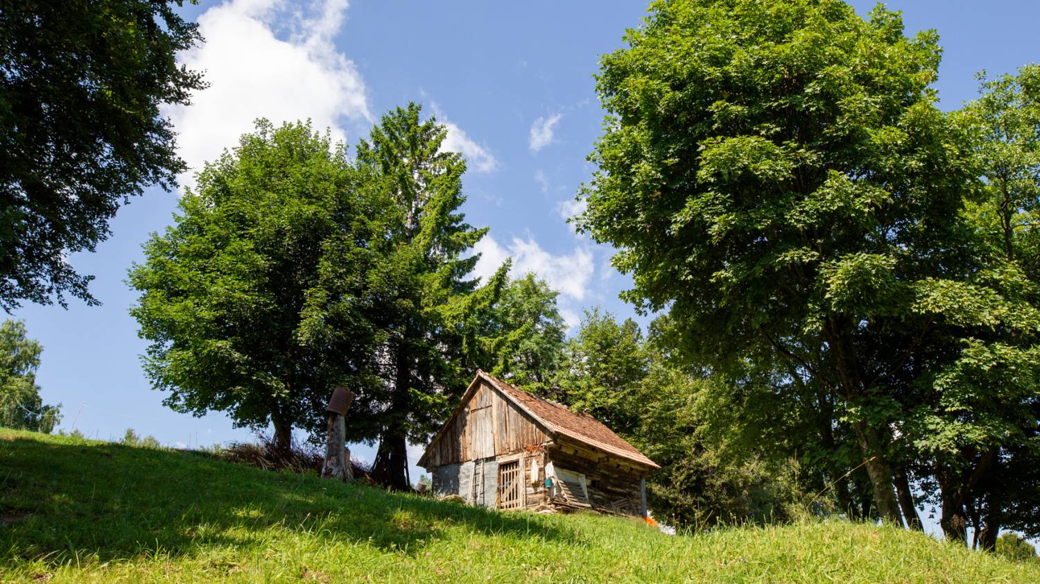 Terra Borza Teutonica